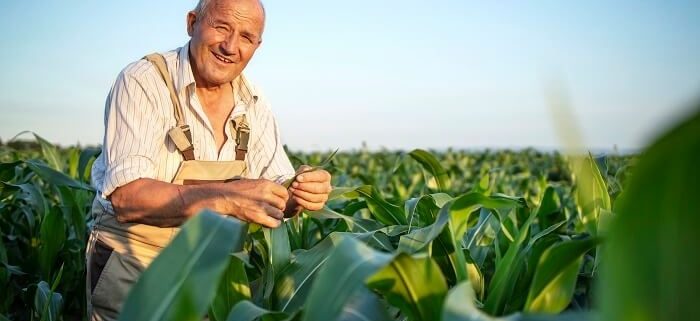 Guia do Trabalhador rural: Benefícios do INSS em 2023