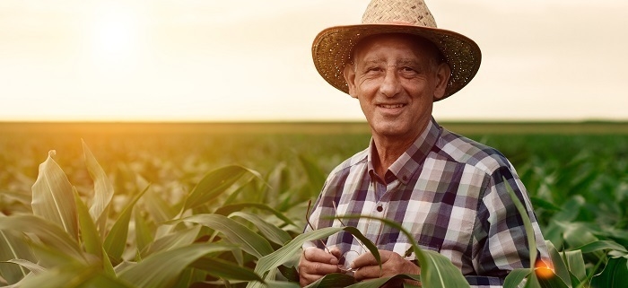 Aposentadoria híbrida do INSS: Quem pode solicitar?