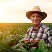 Aposentadoria Rural Negada pelo INSS: Como Recorrer e Garantir Seus Direitos